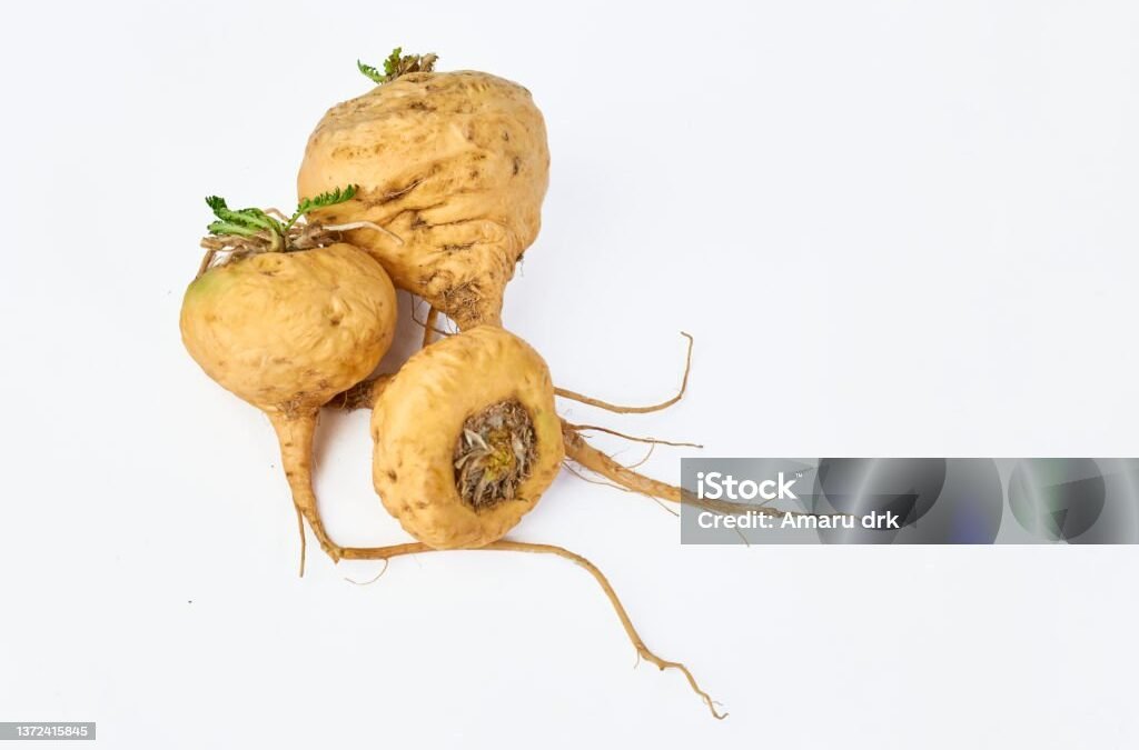 Health Benefits Of Maca Root